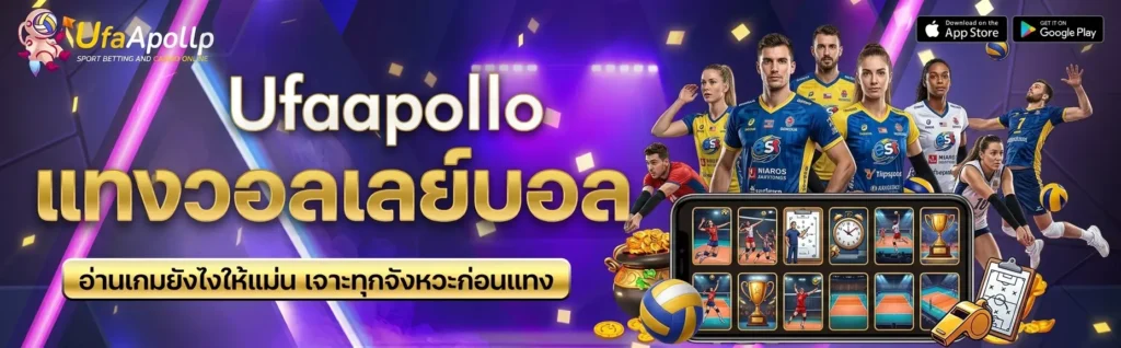 แทงวอลเลย์บอล