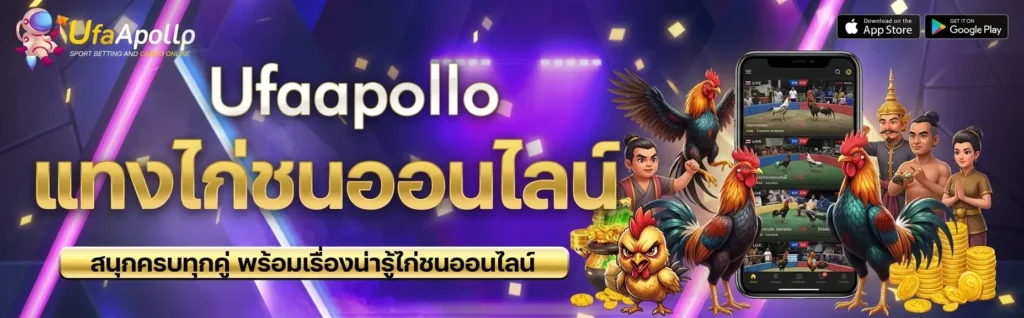 แทงไก่ชน